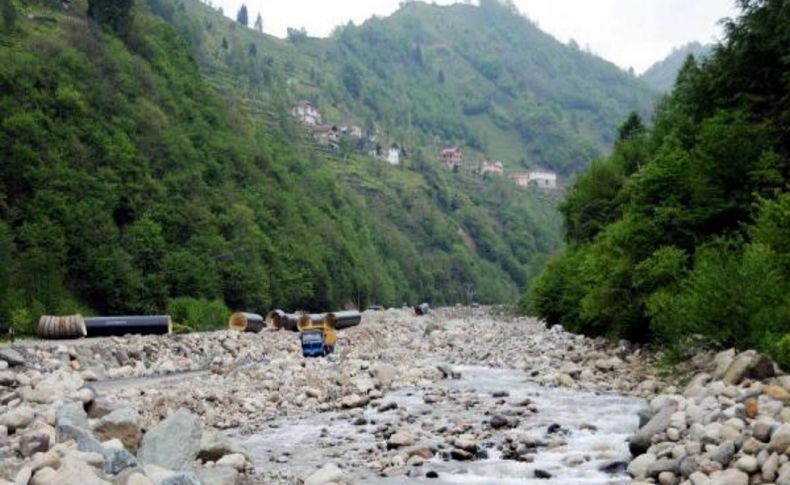 Doğu Karadeniz Bölgesi Çevre Düzeni Planina Bilirkişi Incelemesi