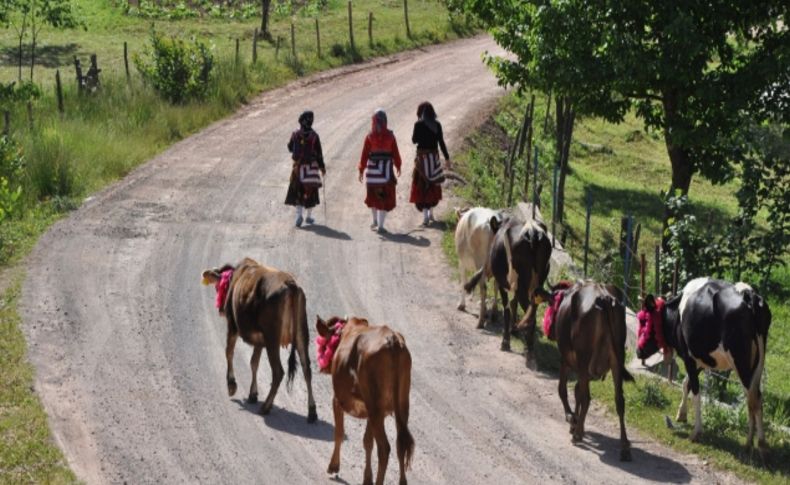 Doğu Karadeniz’de yayla göçleri başladı