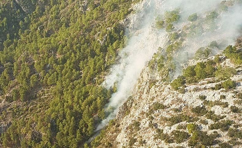 Dün söndürülen yangın gece tekrar başladı