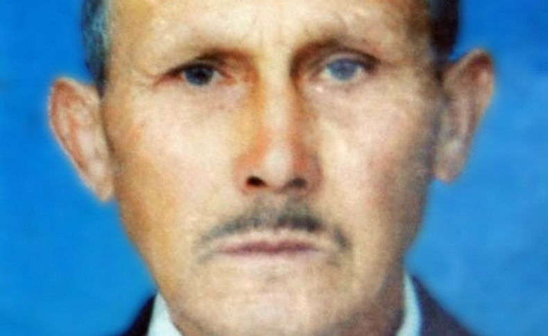Dut ağacından düşen adam hayatını kaybetti