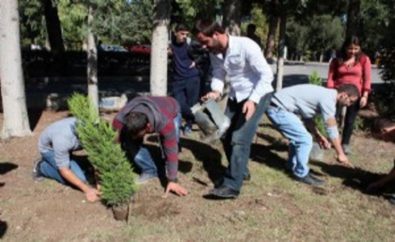 Kobani ölümlerine fidanlı tepki