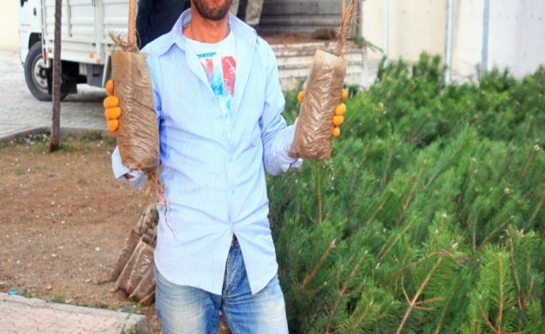 Eğirdir'den Hakkari'ye 2 bin fidan gönderildi