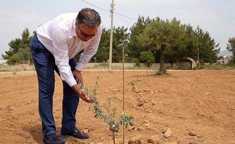 Eğitime Zeytin Dalı’nda ikinci etap başlıyor