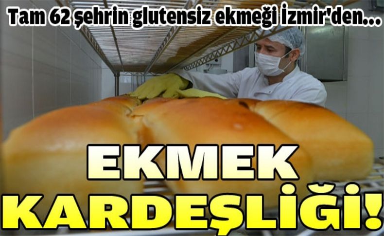 Ekmek kardeşliği