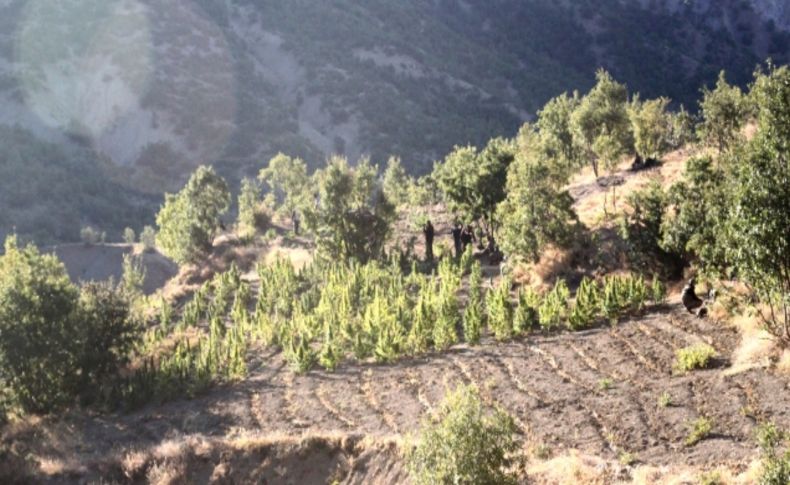 Elazığ'da uyuşturucu tacirlerine şafak operasyonu