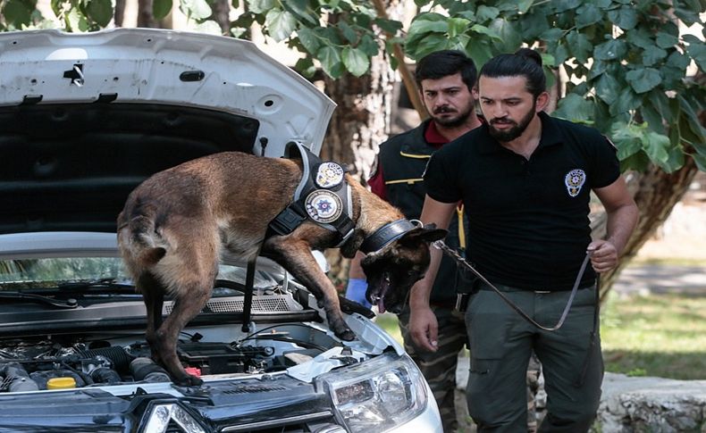 Emniyetin hassas burunları İzmir'de eğitiliyor