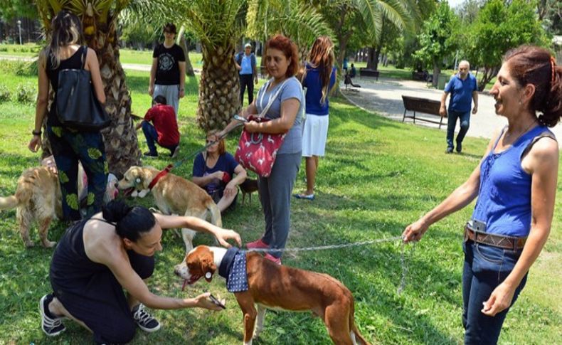 En sevdiğim olur musun'