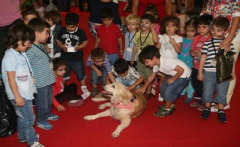 En sevimli kedi köpek yarışması fuara renk katacak