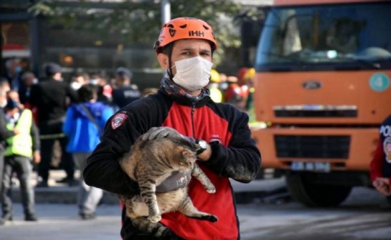Enkazdan 48 saat sonra kedi kurtarıldı