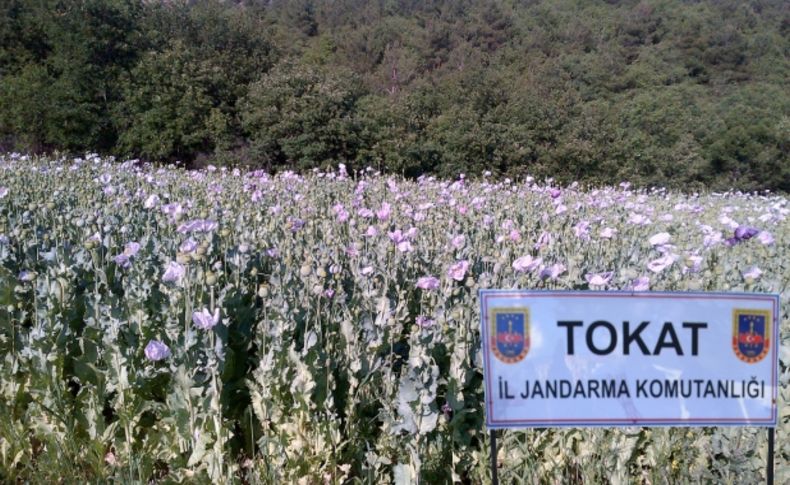 Erbaa'da uyuşturucu tacirlerine darbe