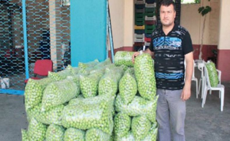 Erikler 30 kuruş alan yok
