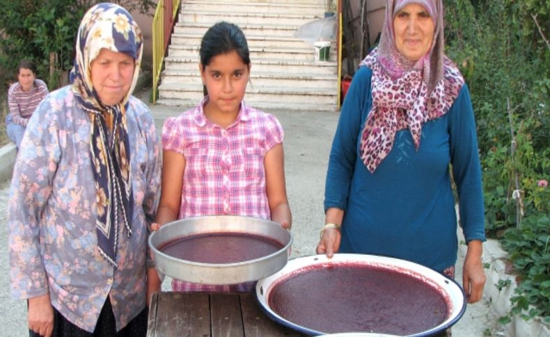 Erikleri pestil yaparak değerlendiriyorlar