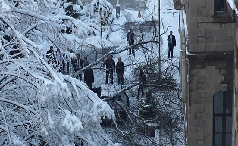 Eski Diyanet İşleri eski Başkanı Görmez'in aracının üzerine ağaç devrildi