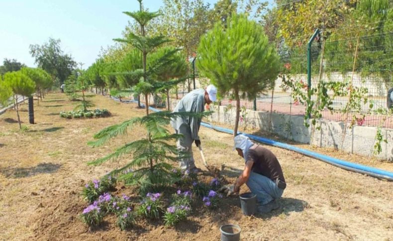 Evrenseki Belediyesi, Manavgat Şehitler Ormanı oluşturdu