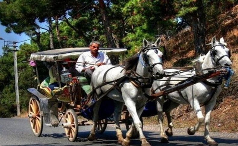 Faytonculardan açlık grevi kararı