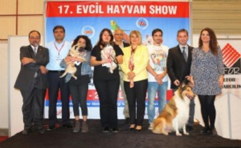 Pet Show 2014'ün güzel güzel köpeği Felix