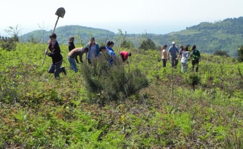 Fidanları toprakla buluşturdular