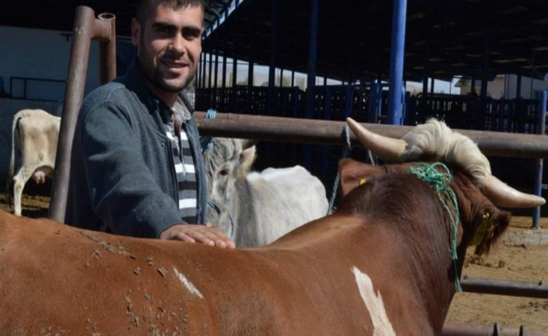 Fiyatlar geçen yılla aynı olunca kurban pazarlarına ilgi arttı