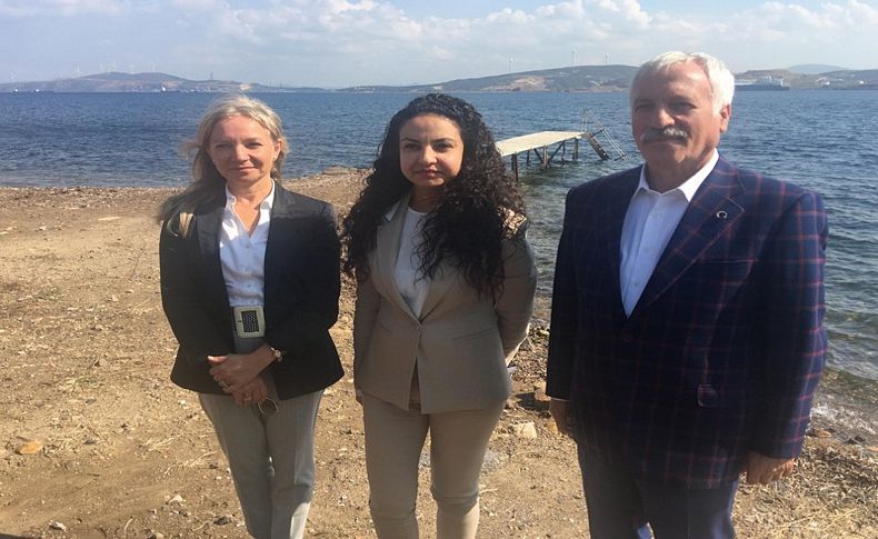 Foça'da atıklar temizlendi, artık yüzülebilir