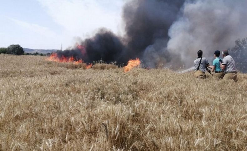 Foça'da 'Bir yıllık emek' kül oldu!