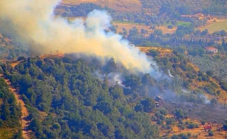 Foça'da çıkan orman yangını kontrol altına alındı