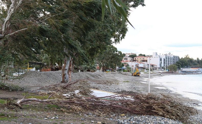 Foça'da fırtınada ağaçlar devrildi, tekneler battı