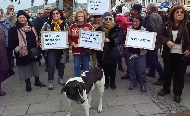 Foça'da hayvana şiddet tepkisi