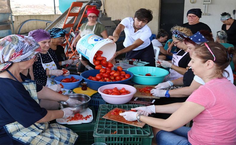 Foça'da kooperatif üyesi kadınlar üretime başladı