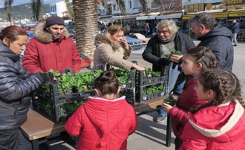 Foça'da sevgi çiçekleri