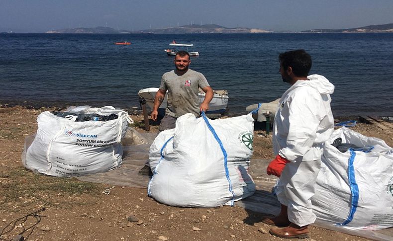 Foça'daki petrol kirliliğinde son durum; Karada da temizlik başladı