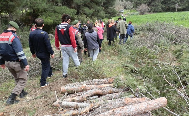 Foça Ilıpınar'daki ağaç kesimlerine çevrecilerden büyük tepki