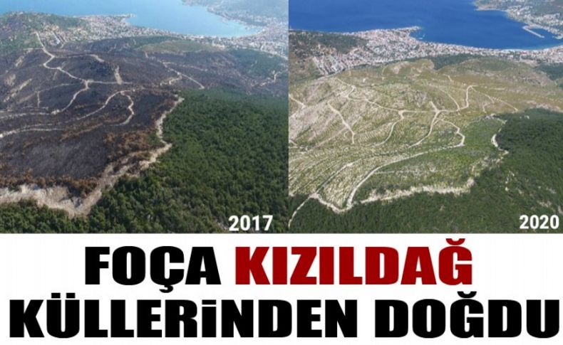 Foça Kızıldağ küllerinden doğdu!