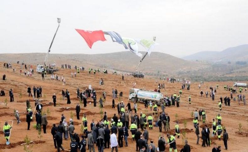 Gaziantep'te 10 Bin Fidan Toprakla Buluştu