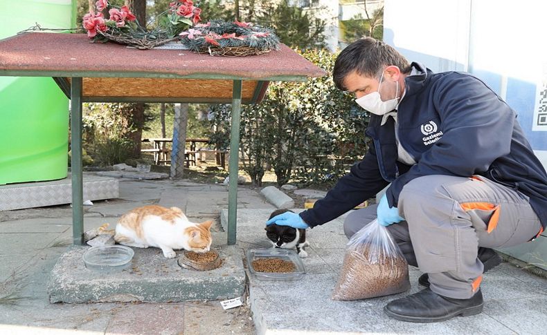 Gaziemir’de can dostlara mama ve su desteği