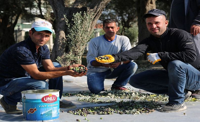 Gaziemir’de hasat mutluluğu