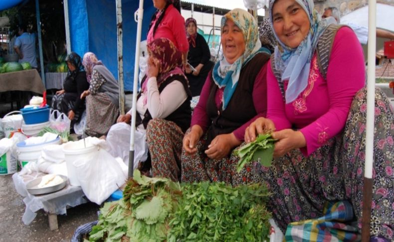 Geçimlerini asma yaprağından sağlıyorlar