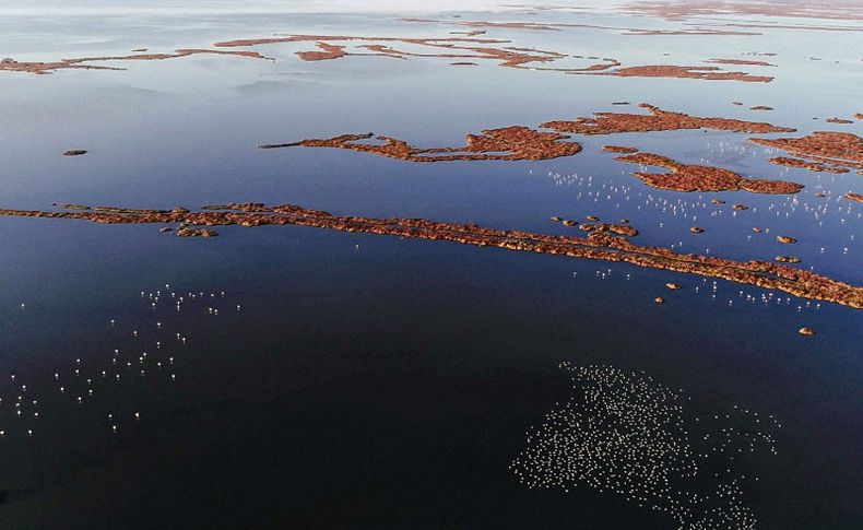 Gediz Deltası için UNESCO çağrısı