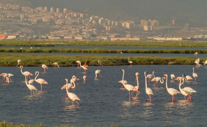 Gediz Dünya Mirası'na aday