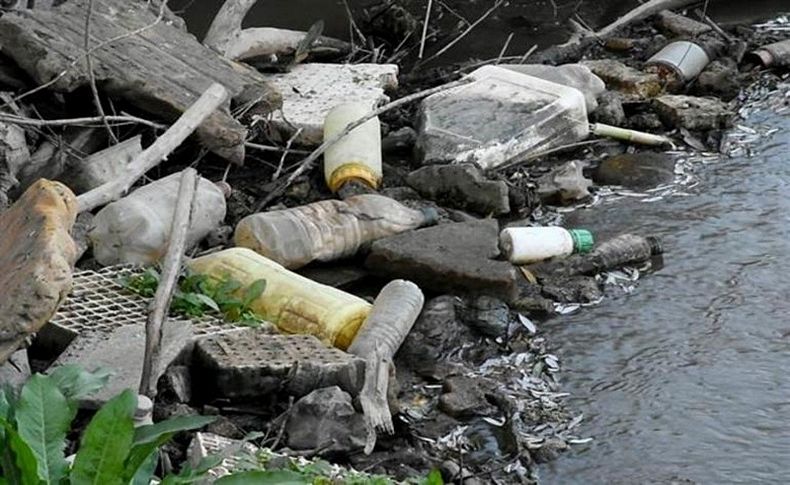 Gediz Nehri'nde korkutan görüntü