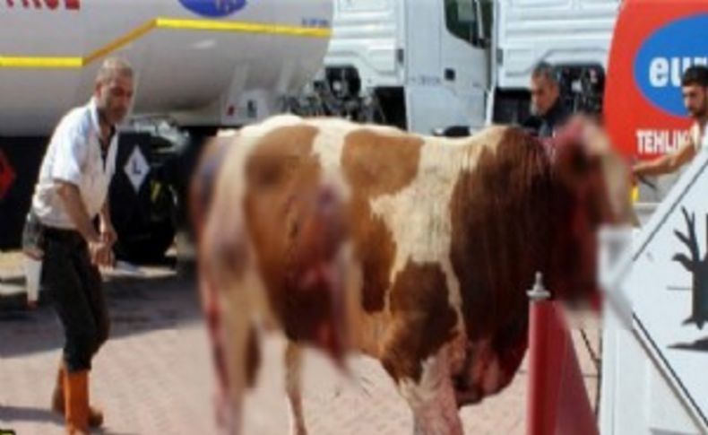 Kayseri'de akıl almaz vahşet