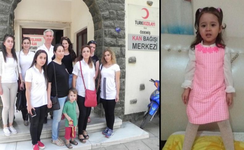 Gökçe için seferber oldular