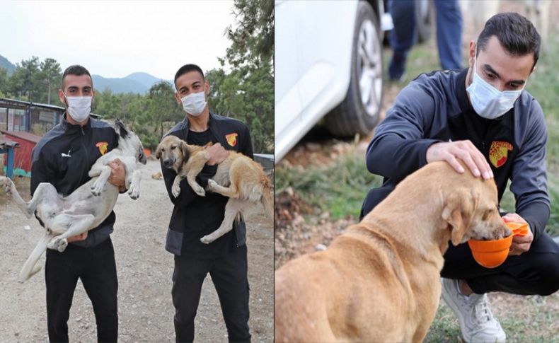 Göztepeli sporculardan hayvan barınağına ziyaret