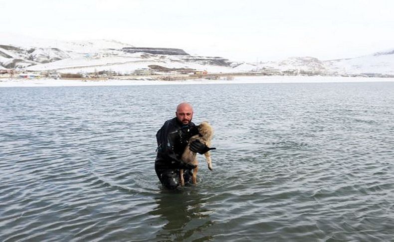 Günün kahramanı! Donmak üzere olan köpeği kurtardı