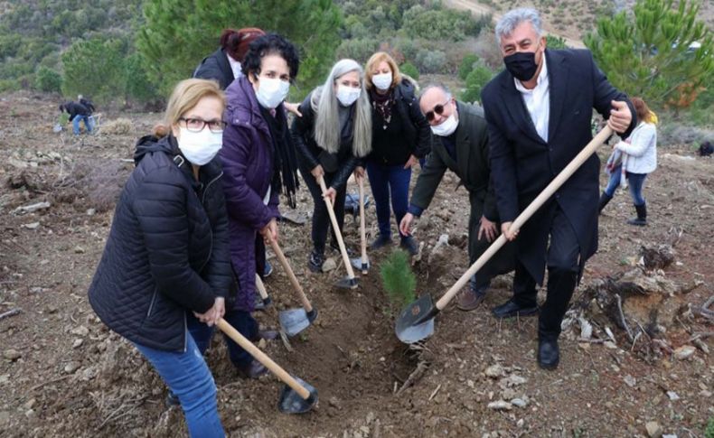 Güzelbahçe’de yeşil seferberlik! 500 fidan toprakla buluştu