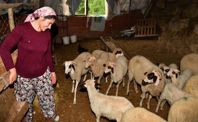 Güzelbahçeli kadın üreticinin başarı öyküsü