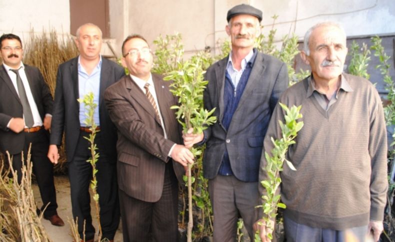 Hakkarili çiftçiye 10 bin meyve fidanı
