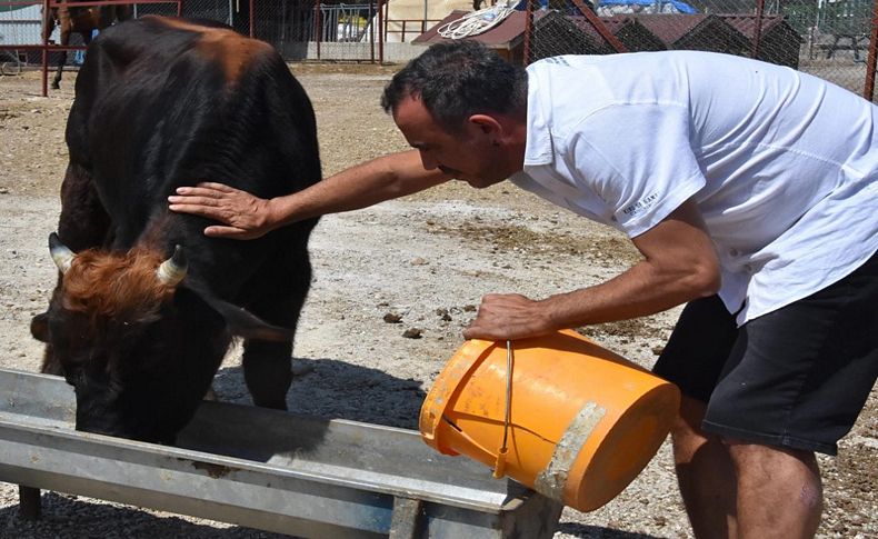 Haluk Levent, kurtardığı 'Ferdinand' ile buluştu