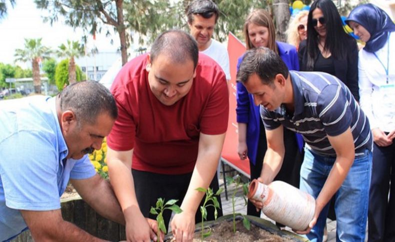 Hastanede bahçe terapisi