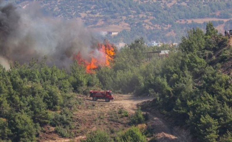 Hatay'daki orman yangınlarıyla ilgili 2 tutuklama