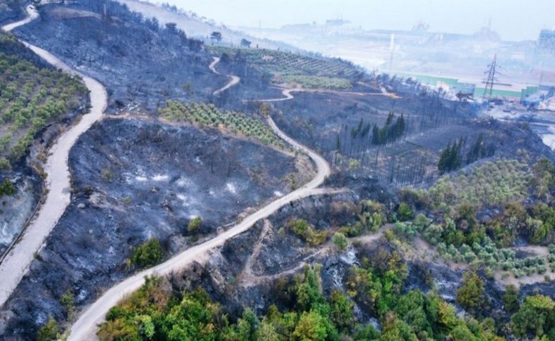 Hatay'daki yangın 22 saat sonra kontrol altında